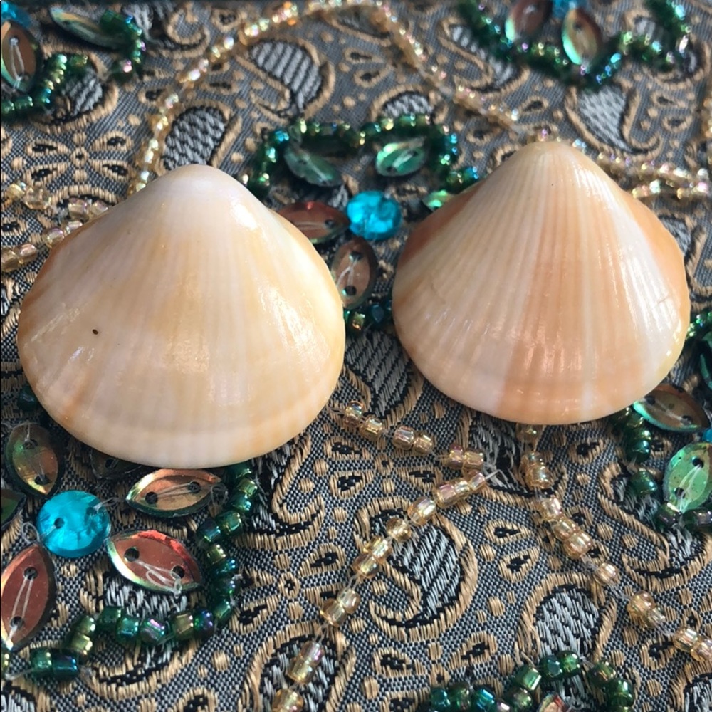 🐚 Seashell Earrings🌾